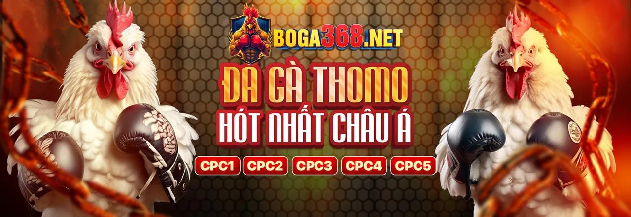 Giao diện ứng dụng mayclub chính thức trên điện thoại